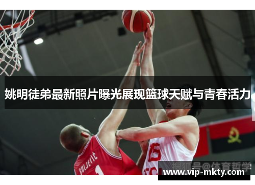 姚明徒弟最新照片曝光展现篮球天赋与青春活力